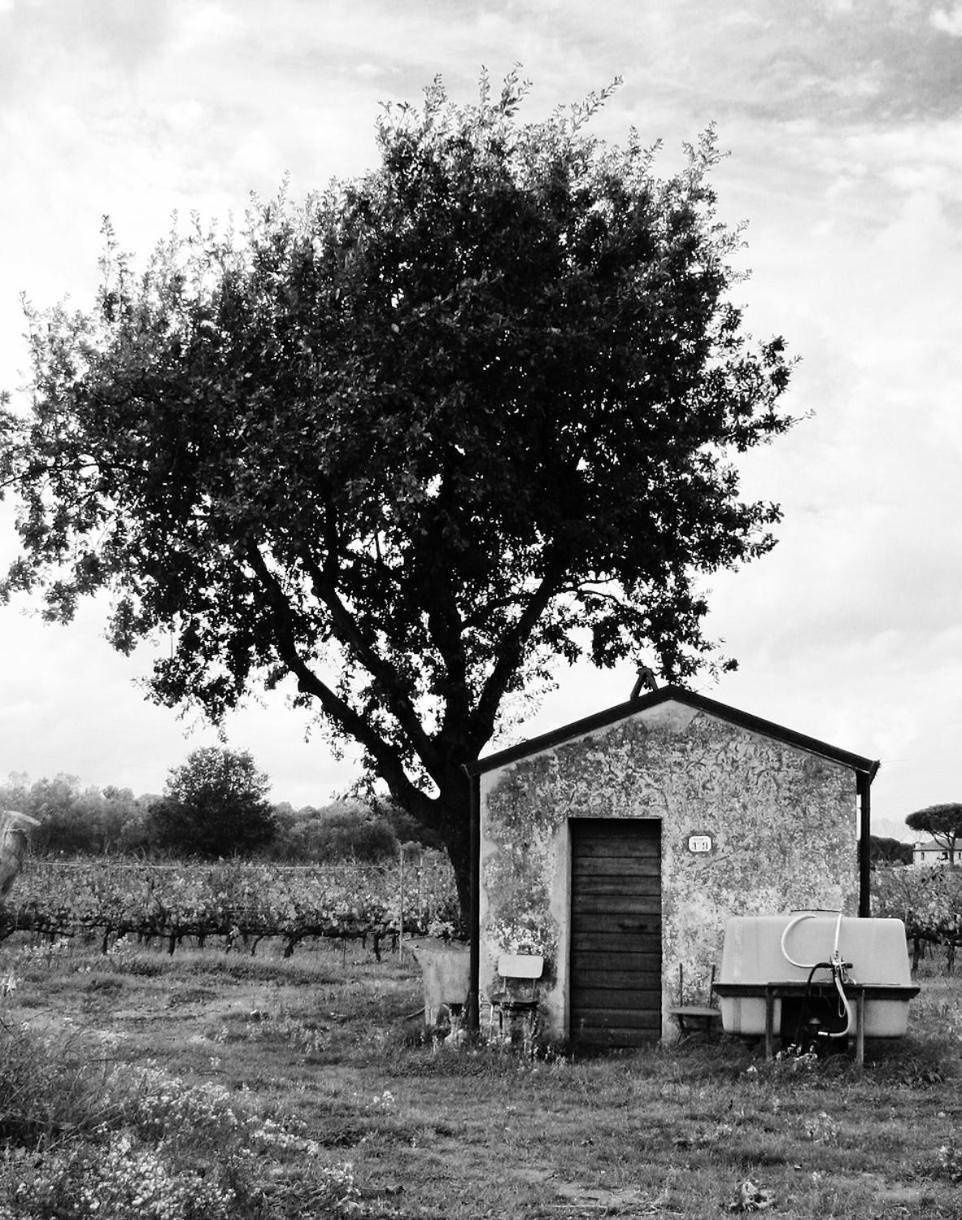 La Cipriana Villa Castagneto Carducci Bagian luar foto